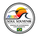 SOUL SOUVENIR – Início