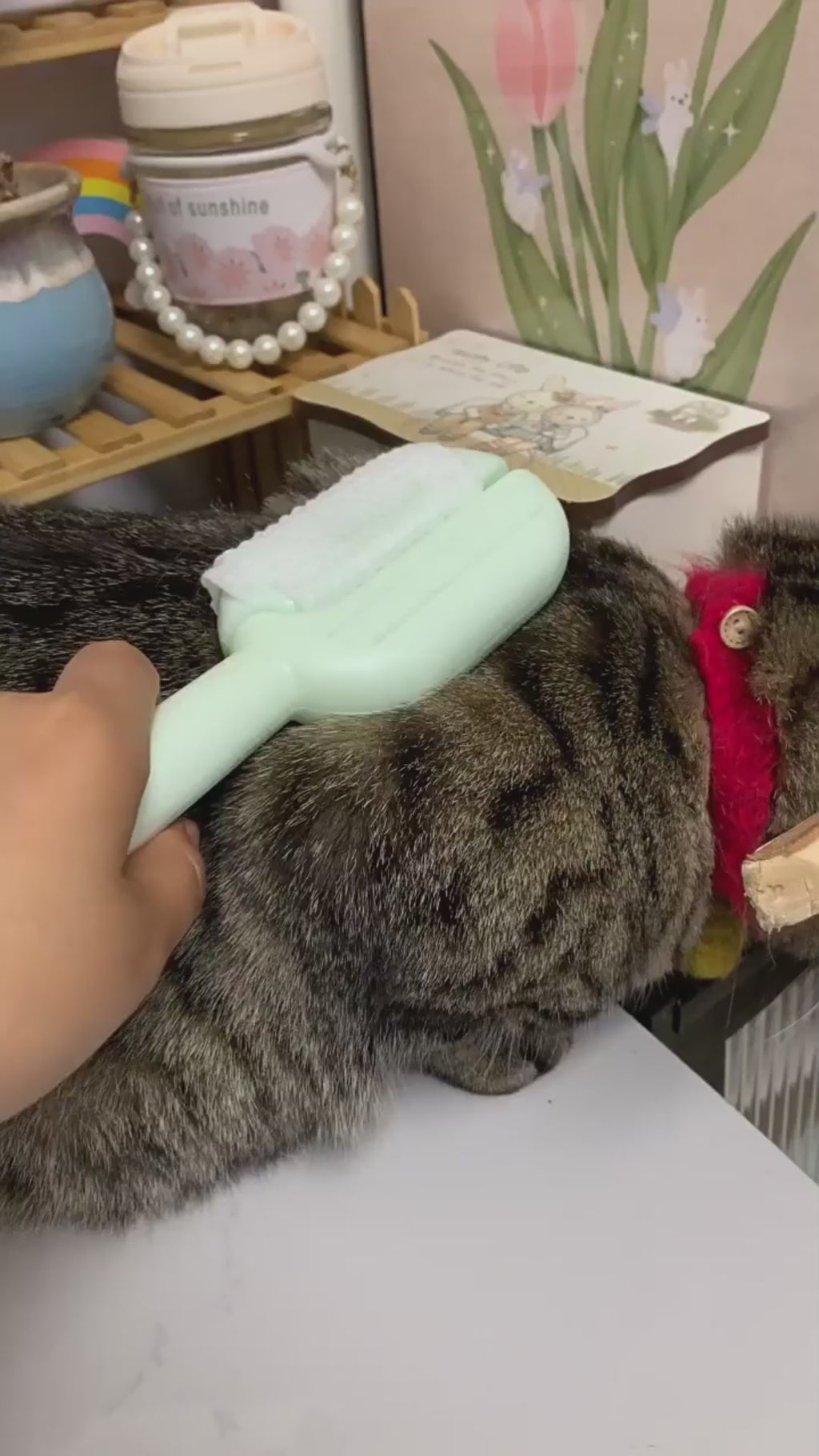 Escova 3 em 1 para Pets — Autolimpante com Reservatório de Água