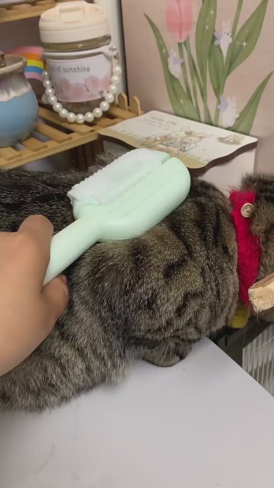 Escova 3 em 1 para Pets — Autolimpante com Reservatório de Água